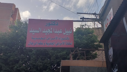 نبيل عبد المجيد السيد