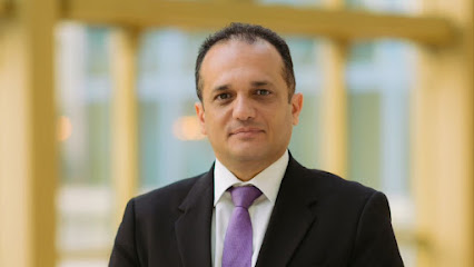 محمد السيد الشناوى
