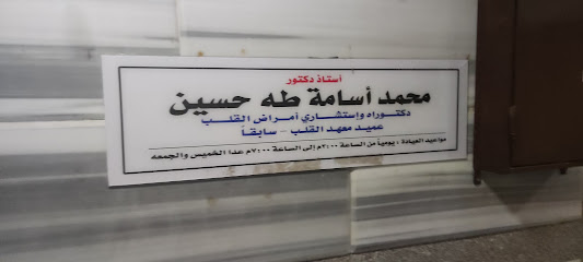 محمد اسامة طه حسين