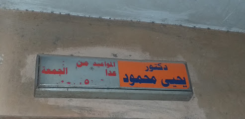 Yehia Mahmoud