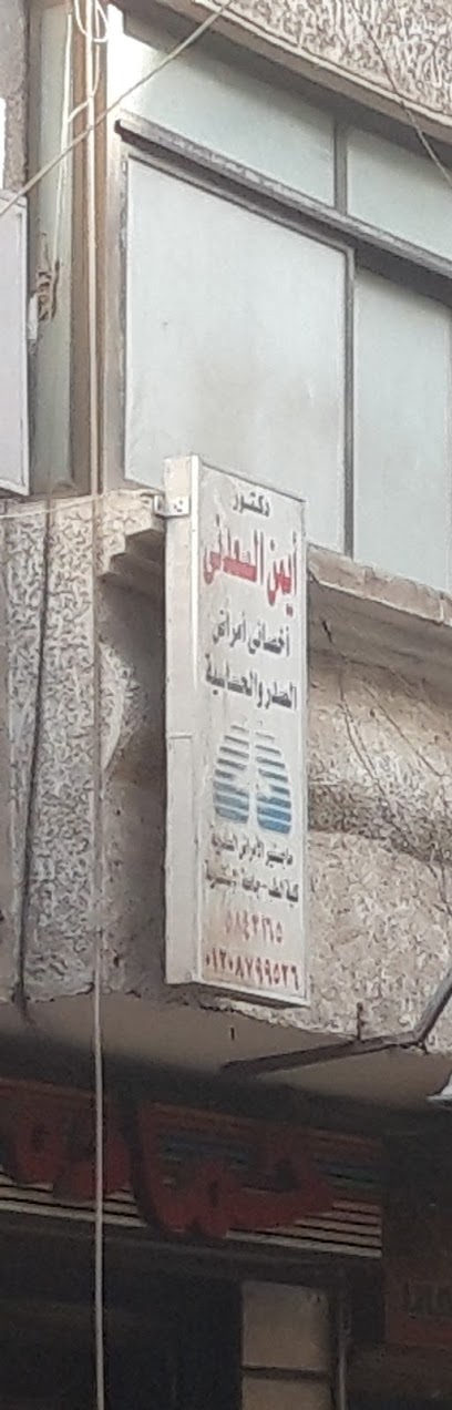 دكتورأيمن السعدنى
