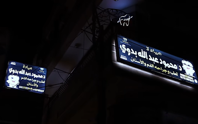 محمود بدوي