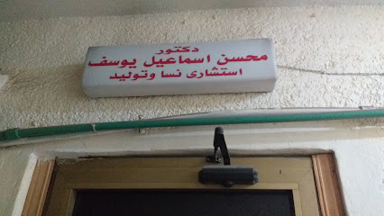 محسن اسماعيل يوسف