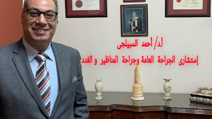 احمد السبيلجى
