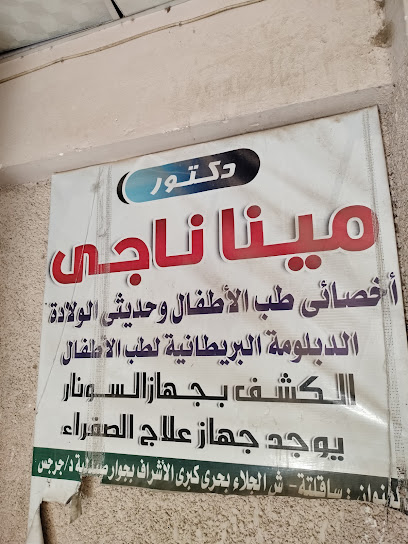 مينا ناجي