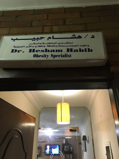 هشام حبيب