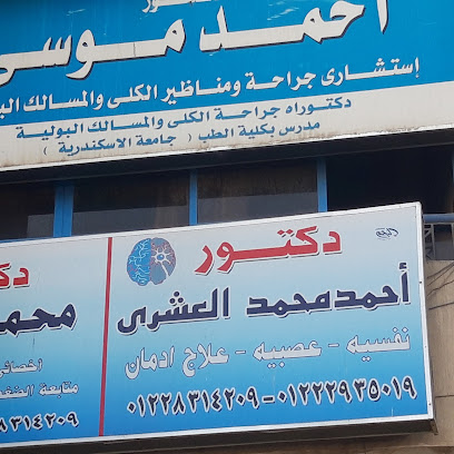 Ahmed Mohamed El-Ashry