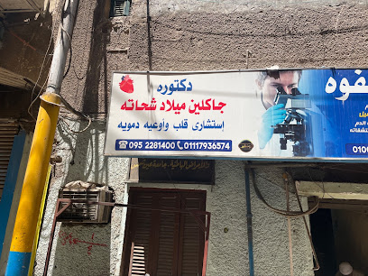 چاكلين ميلاد شحاته