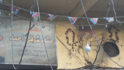 Hesham Shwky Ahmed