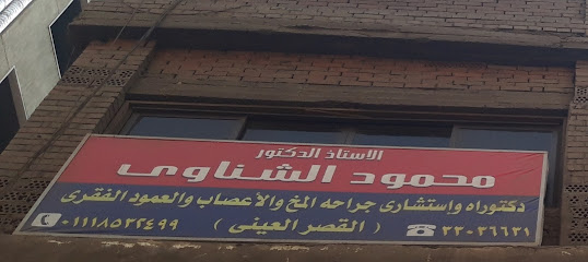 محمود الشناوى