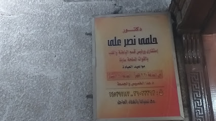 حلمى نصر على