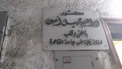 ابراهيم جميل أمين