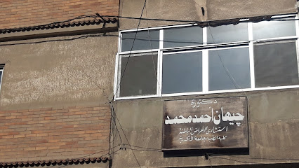 جيهان أحمد محمد