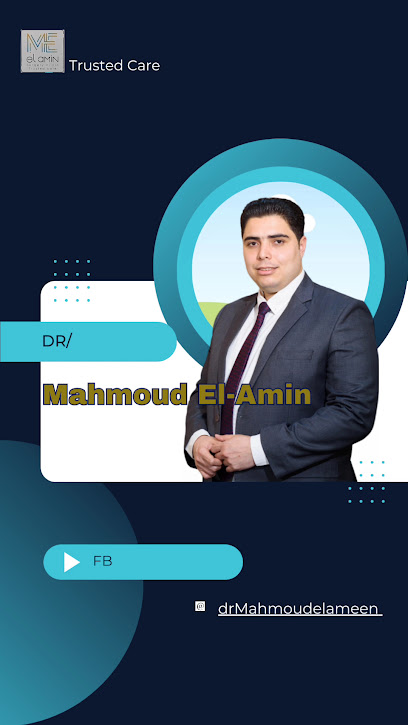 محمود الأمين