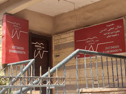 منال صفى الدين