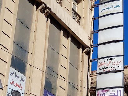 مروى محمد مصطفى