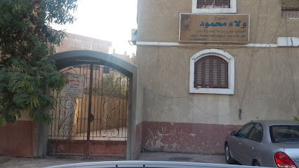 ولاء محمود