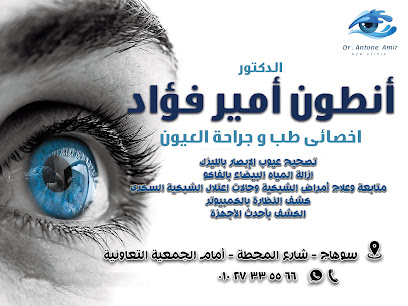 أنطون أمير