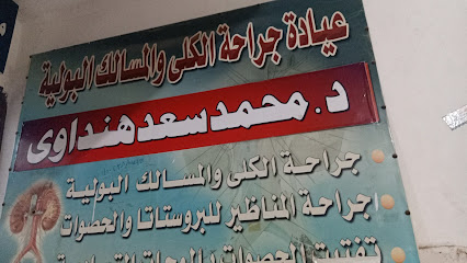 محمد هنداوي
