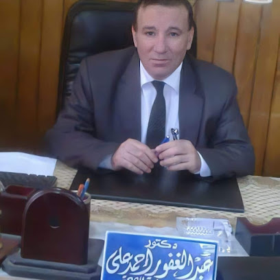Abdelghfwr Ahmed Ali