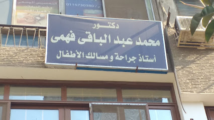 Mohamed Abdelbaky Fahmy
