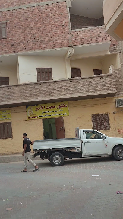 محمد الأمير