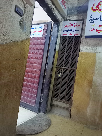 مجدى الشيمي