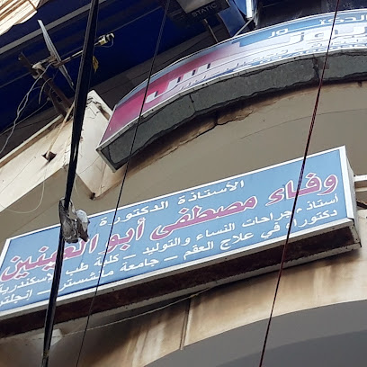 Wafaa Mostafa Abw El-Aynyn