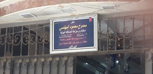Mamdouh Mahmoud El-Bhnsy