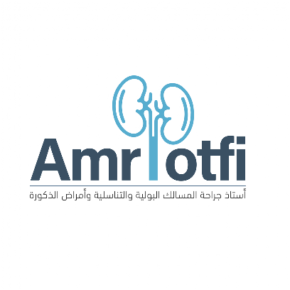 Amr Lotfi