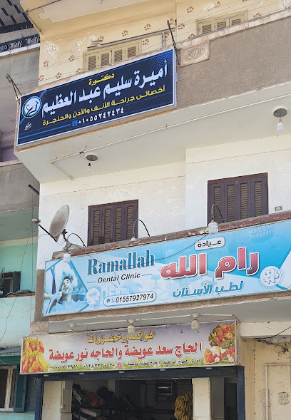 أميرة سليم