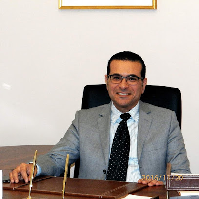 Hsam Fahmy Abdelhamid