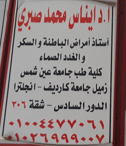 أ دايناس محمد صبري