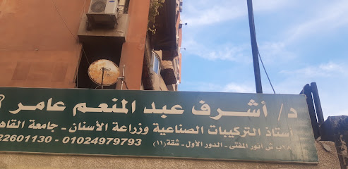 اشرف عبد المنعم عامر