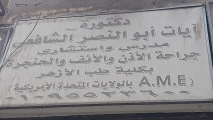 Ayat Abw El-Nasr El-Shafay
