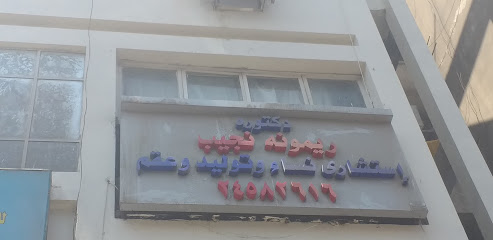 ريمونه نجيب