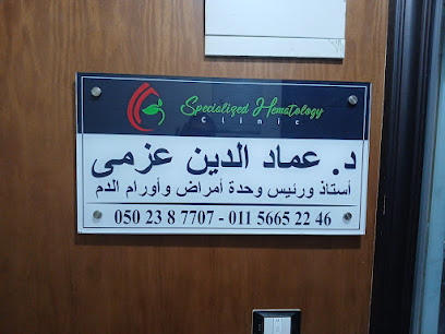 عماد الدين عزمى