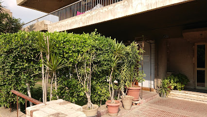 Nader Adel Ibrahim
