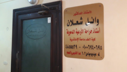 Wael Shalan