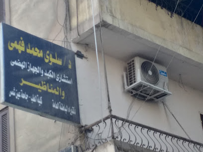 Slwy Mohamed Fahmy