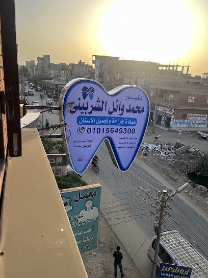 محمد وائل الشربيني
