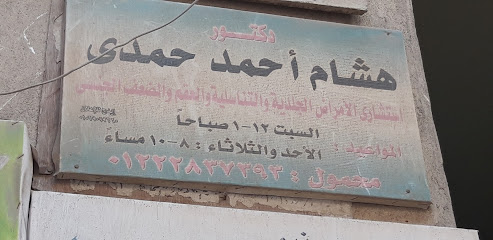 هشام أحمد حمدى