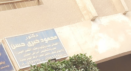 Mahmoud Khyry Hassan
