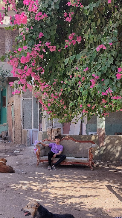 Hesham Abdelzahr