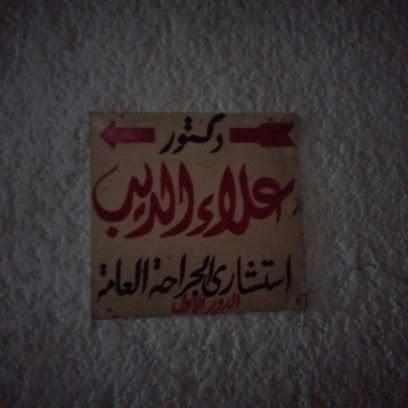 علاء الديب