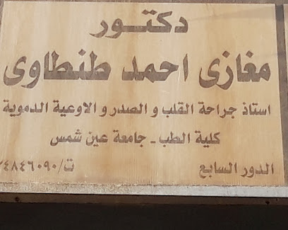 Mghazy Ahmed Tntawy