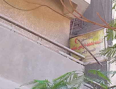 أحمد محمد شوقى سالم