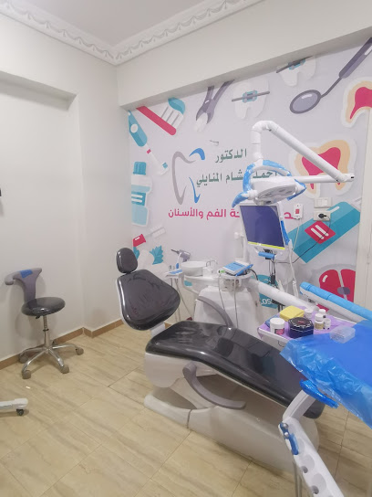 احمد هشام المنايلي