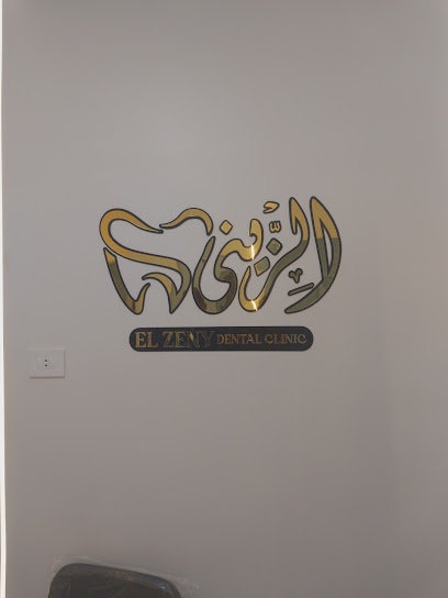 محمود الزيني