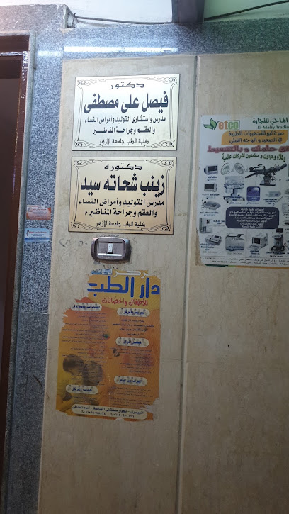 Fysl Ali Mostafa